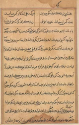 Page from Tales of a Parrot Tuti-nama: Text Page