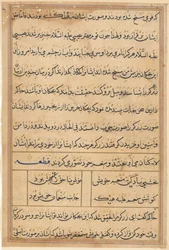 Page from Tales of a Parrot Tuti-nama: Text Page