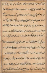 Page from Tales of a Parrot Tuti-nama: Text Page