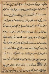 Page from Tales of a Parrot Tuti-nama: text page