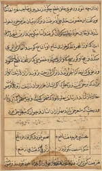 Page from Tales of a Parrot Tuti-nama: Text Page