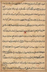 Page from Tales of a Parrot Tuti-nama: text page, c. 1560