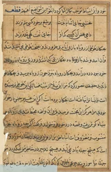 Page from Tales of a Parrot Tuti-nama: text page, c. 1560