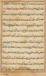 Page from Tales of a Parrot Tuti-nama: Text Page