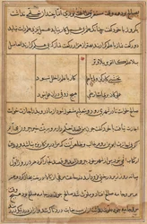 Page from Tales of a Parrot Tuti-nama: text page, c. 1560