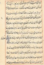 Page from Tales of a Parrot Tuti-nama: text page
