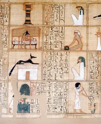 Papyrus, Embalming, Anubis, Ancient Egyptian