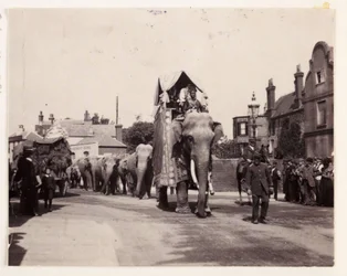 Parade of elephants, c 1905