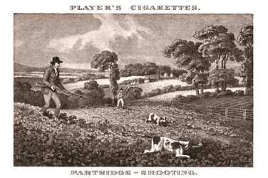 Partridge-Shooting, 1924
