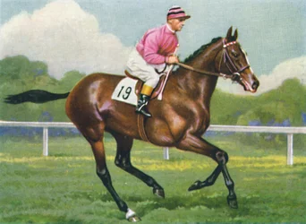 Pasch, Jockey: G. Richards