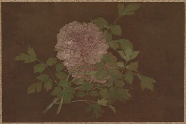Peonies, 15th century