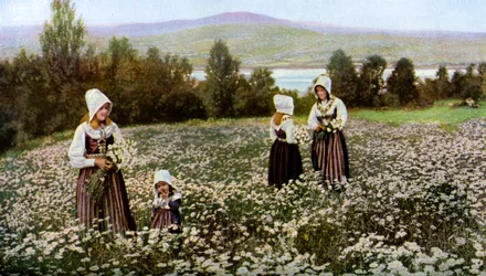 Picking Flowers in a Meadow Near Leksand, Sweden