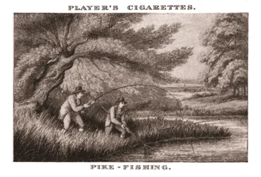Pike-Fishing