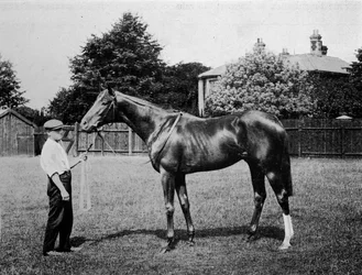 Polar Star, 1911