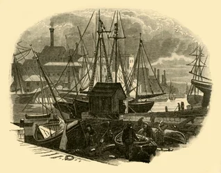 Poole Harbour
