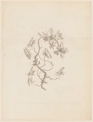 Print