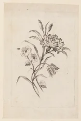 Print