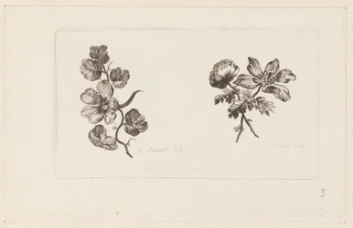 Print