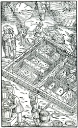 Producing Salt by Evaporating Sea Water in Salt Pans