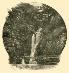 Pyrddin Falls, Vale of Neath, 1898