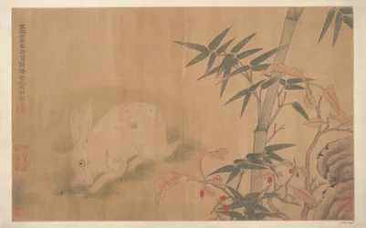 Rabbit