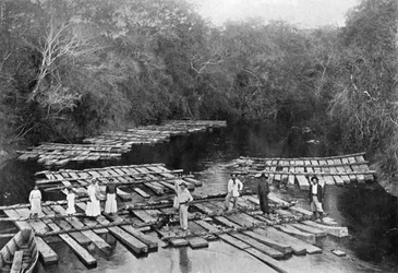 Rafts on the Tebicuary-mi River, Paraguay