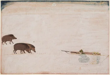 Raja Ram Chand of Amber Hunting Wild Boar