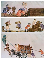 Reaping, Carrying, and Carting