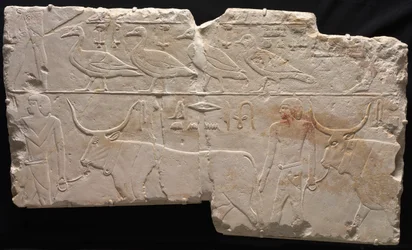 Relief of Men Bringing Birds and Cattle