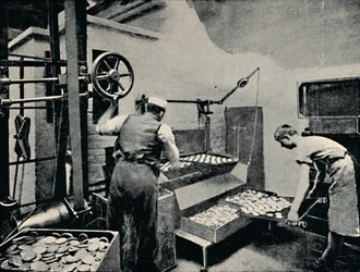 Removing Biscuits from Oven