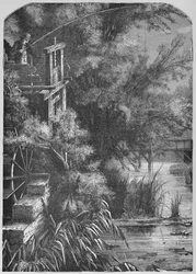 Scene on a Creek Emptying Into The Little Juniata