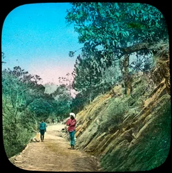 Scene on a Road, Murree, India
