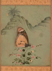 Butterfly / Indian Miniature / 17th Century