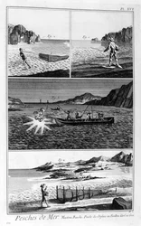 Sea fishing