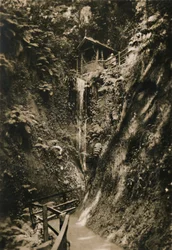 Shanklin Chine, I.W., c1920