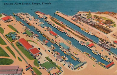 Shrimp Fleet Docks, Tampa, Florida