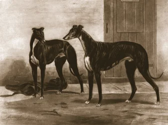 Simonian and Fullerton, c1891, 1911