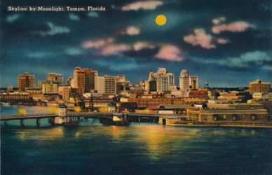 Skyline by Moonlight, Tampa, Florida, c1940s