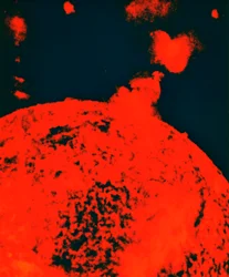 Solar Eruption