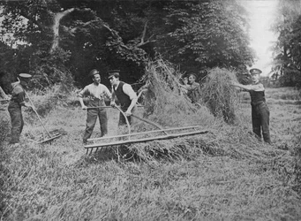 Soldiers Assisting the Farmers by Getting in the Hay