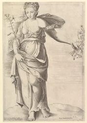 Speculum Romanae Magnificentiae: Flora