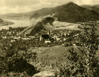 Spitz an der Donau, Wachau, Lower Austria