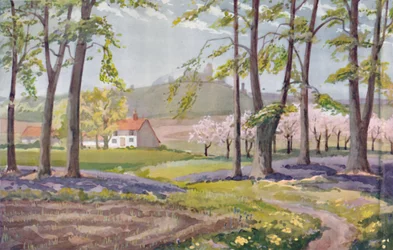 Spring - The Physical, Chemical and Biological Changes Wrought By The Sun During The Year