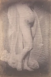 Standing Female Nude