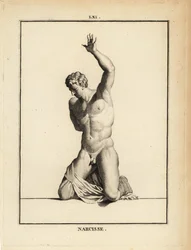 Statue of Narcissus