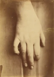 Study of a Hand