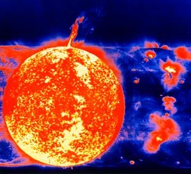 Sunspots and Solar Prominences, 1973