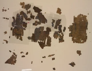 Taqueté Fragments with Winged Lions in Roundels