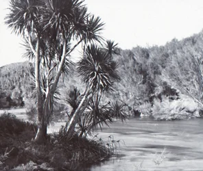 Te Waihou River, Okoroire, late 19th-early 20th century