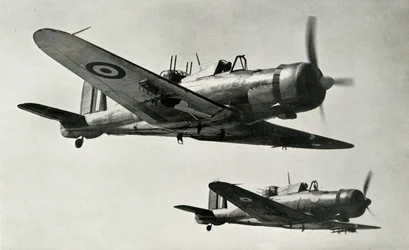 The Blackburn Roc